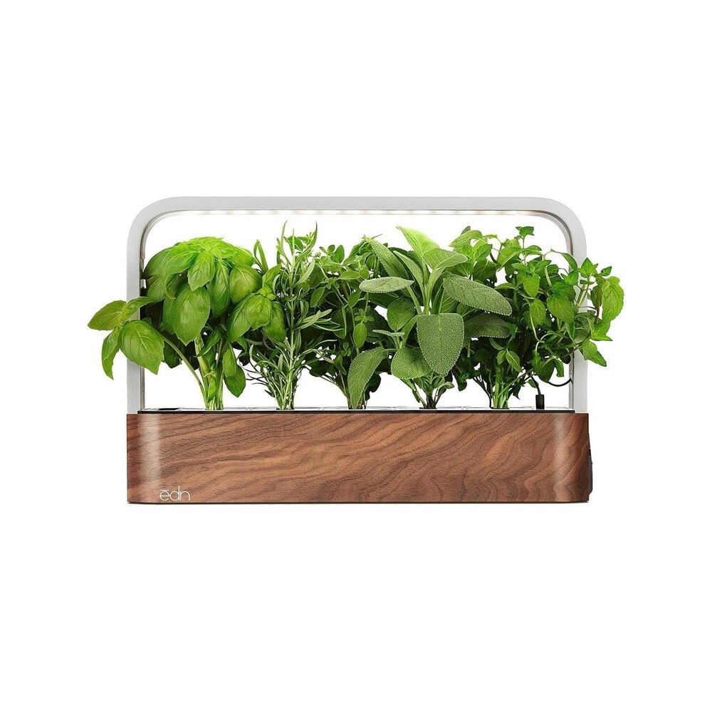 EDN SmallGarden with 8 Mint SeedPods, Indoor Grow Smart Garden Starter Kit